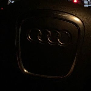 Meet your Posher, Trevor